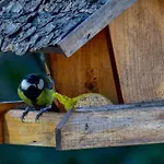Nona Ancka Apartamento Marezige