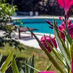 Nona Ancka * Marezige