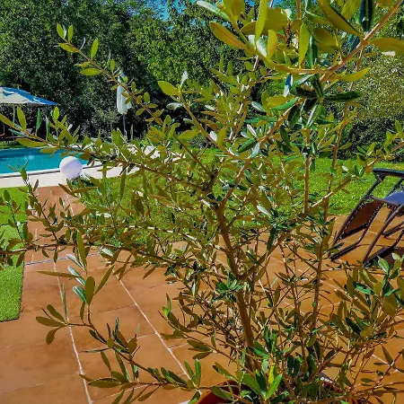 Nona Ancka Apartman *