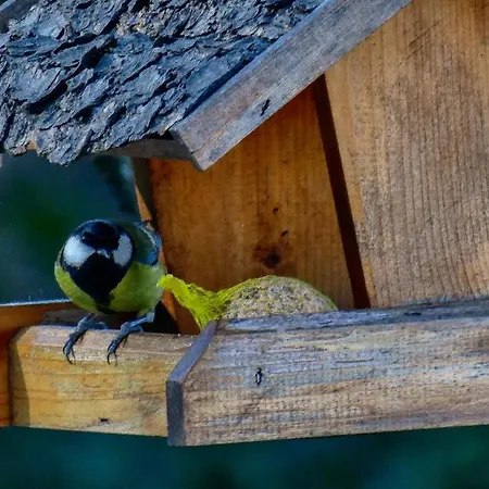 Nona Ancka Apartman Marezige