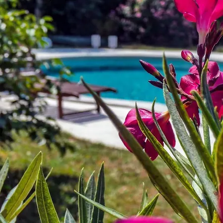 Nona Ancka * Marezige