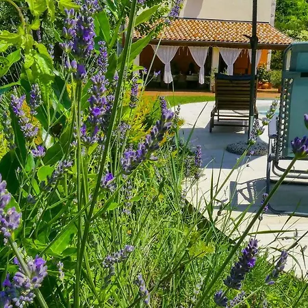 Apartman Nona Ancka *