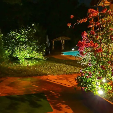 Nona Ancka * Marezige