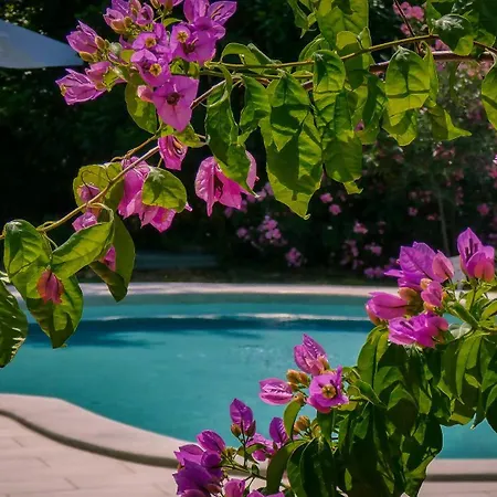 Apartman Nona Ancka *