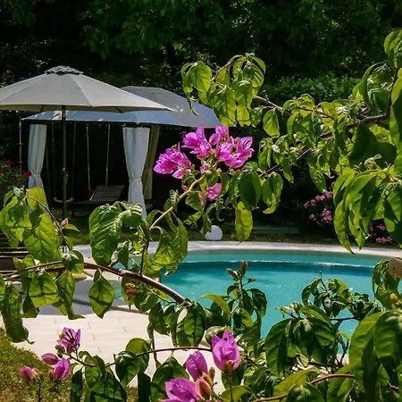 Apartman Nona Ancka *