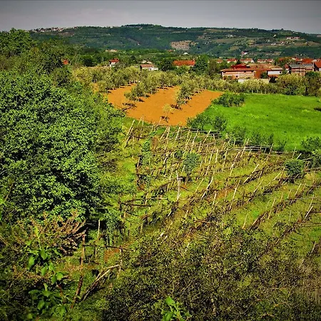 Nona Ancka * Marezige