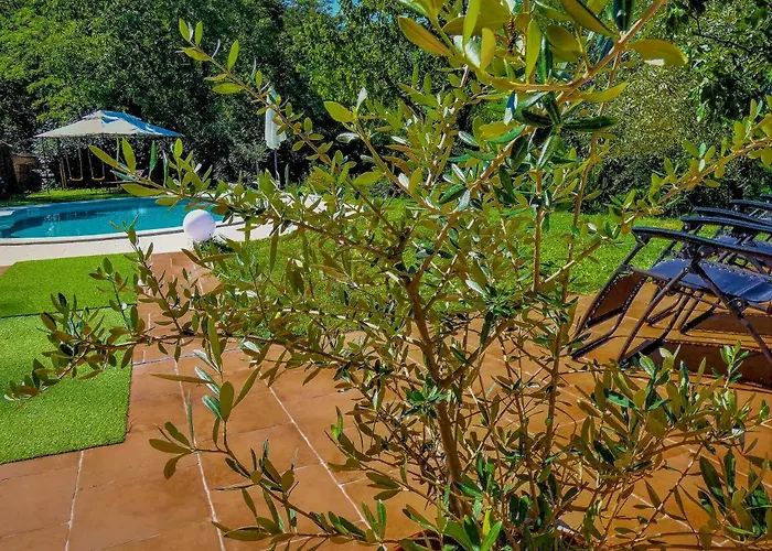 Nona Ancka Apartman *