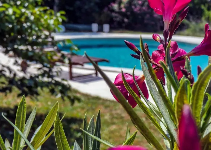 Nona Ancka * Marezige