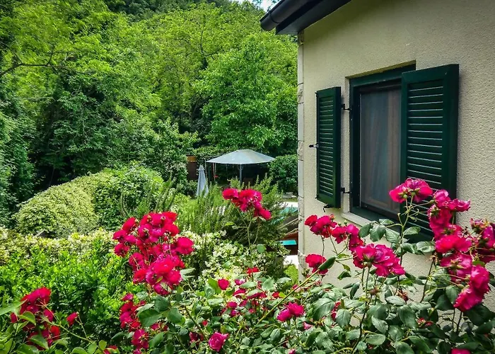 Apartman Nona Ancka Marezige