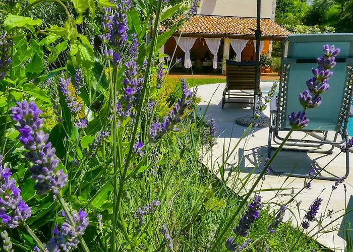 Apartman Nona Ancka *