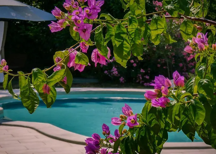 Apartman Nona Ancka *